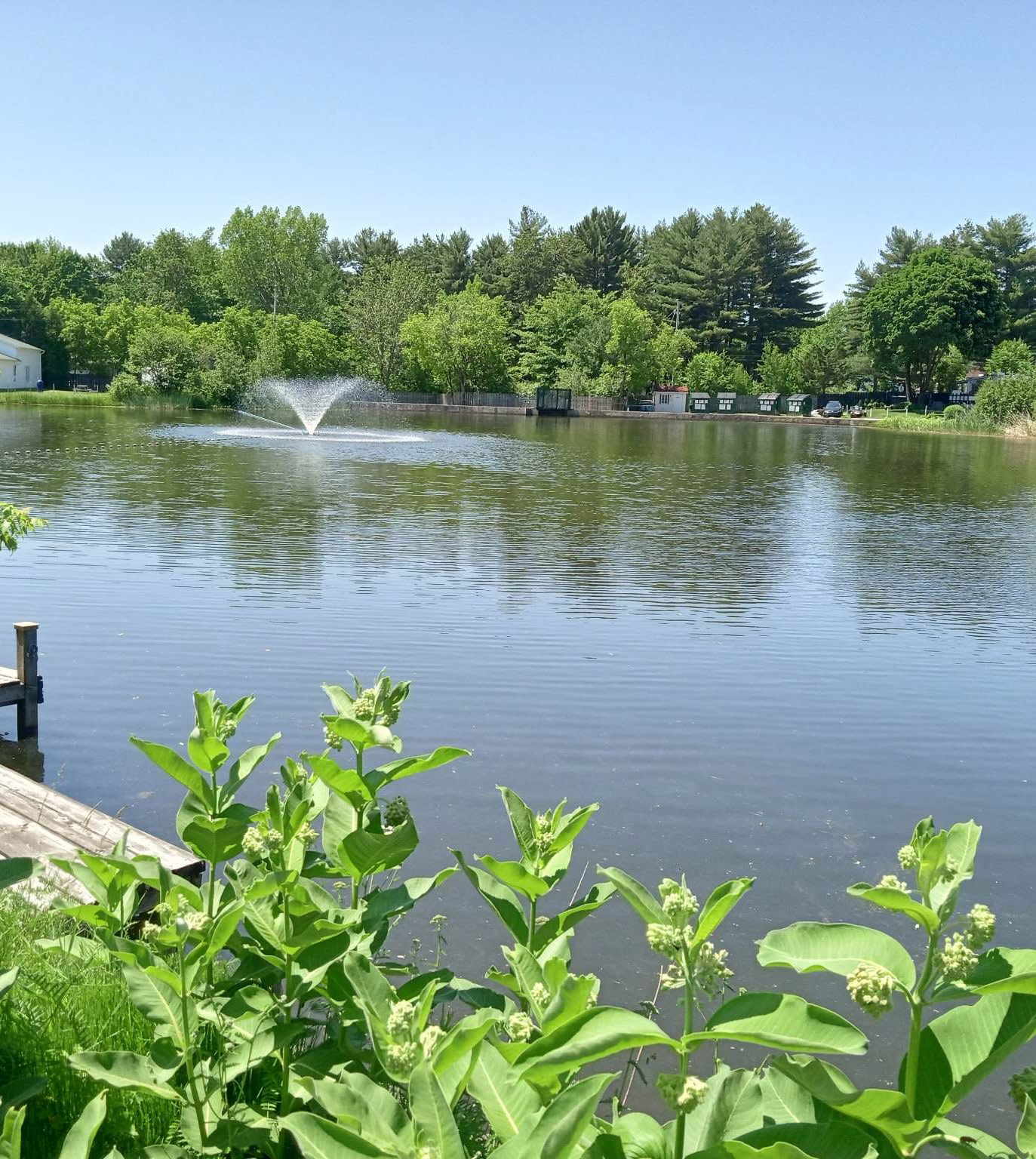 Camping Lac Lafontaine